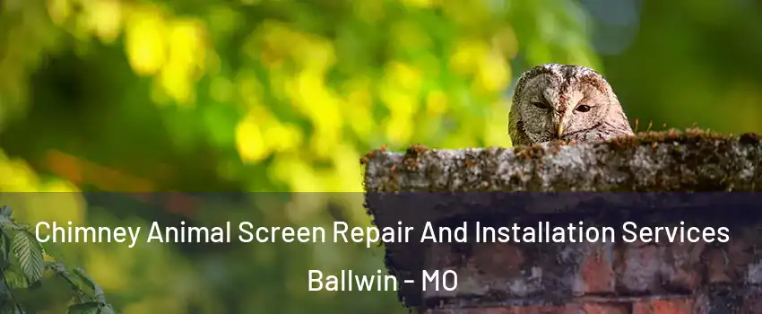  Chimney Animal Screen Repair And Installation Services Ballwin - MO