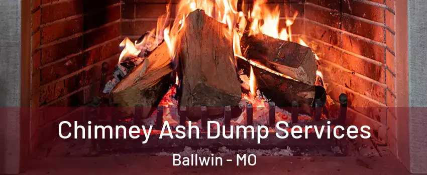  Chimney Ash Dump Services Ballwin - MO