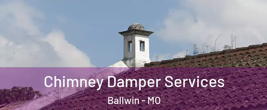  Chimney Damper Services Ballwin - MO