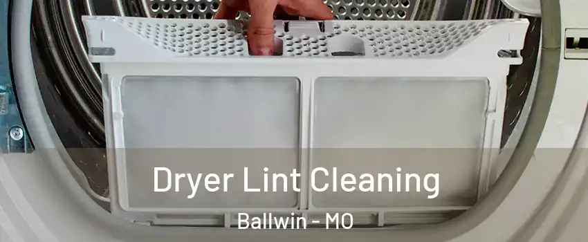  Dryer Lint Cleaning Ballwin - MO