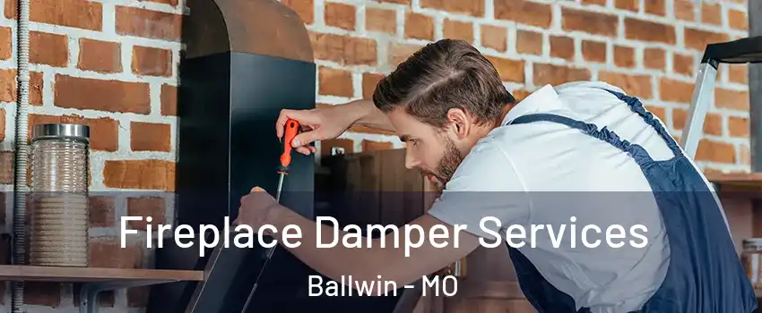  Fireplace Damper Services Ballwin - MO