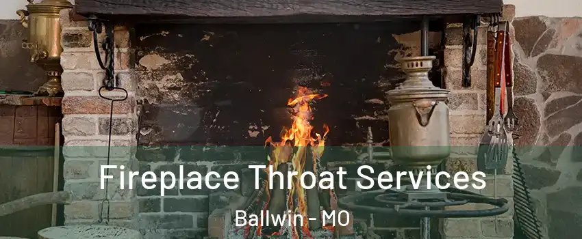  Fireplace Throat Services Ballwin - MO