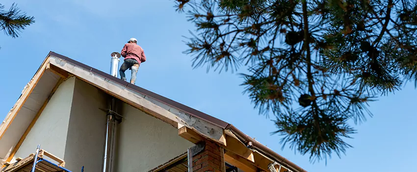 Birds Removal Contractors from Chimney in Ballwin, MO