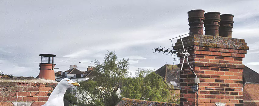 Chimney Cleaning And Restoration in Ballwin, Missouri